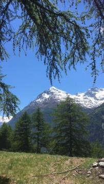 شقة Haus Valaisia - Randa Bei Zermatt المظهر الخارجي الصورة